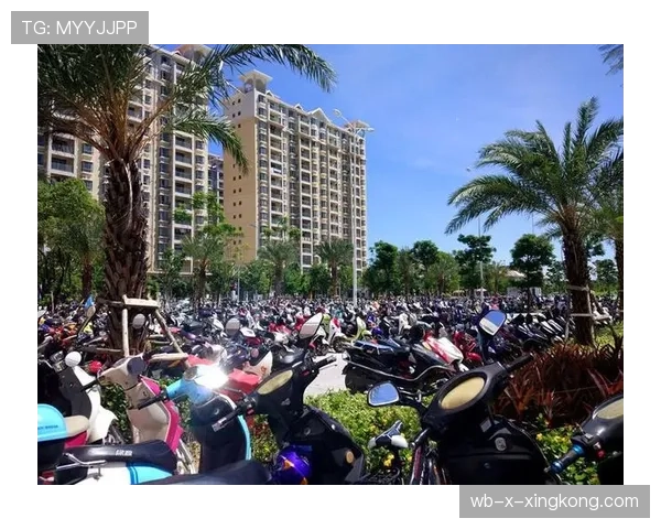 TI15期间上海交通指南:看比赛千万别开车,场馆周边的车位已经排到明年了🚗